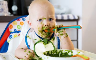 Dal latte materno all’alimentazione complementare: baby led weaning